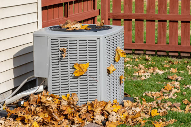 Best Affordable HVAC services  in Pigeon, MI